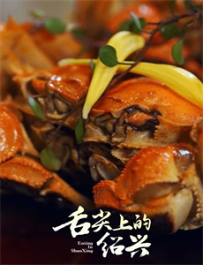 爱情盲选:巴西篇 第四季