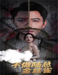 大闹婚礼后,忠犬总裁非我不娶